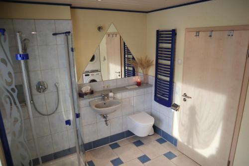 a bathroom with a shower and a toilet and a sink at Ferienwohnung Erzgebirge in Grünhainichen