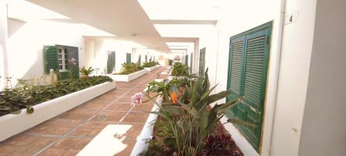 een gang van een gebouw met potplanten bij Pool Terrace in El Médano