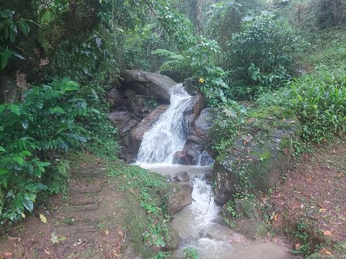 uma pequena cascata no meio de uma floresta em Chorinho Dàgua, Um paraiso na Mantiqueira em São José dos Campos