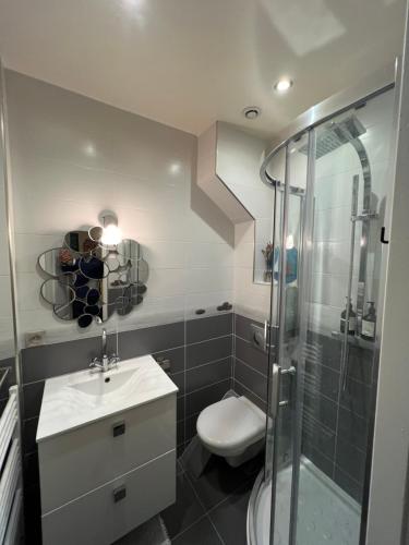 une salle de bain avec une douche, un lavabo et des toilettes dans l'établissement Appartement de grand standing en plein coeur de Paris à proximité du Trocadéro, à Paris