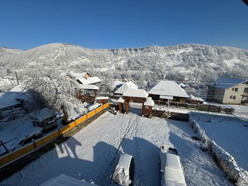 a snow covered roof of a building with a mountain at Pensiunea Codrea - Wagner in Lazu Baciului