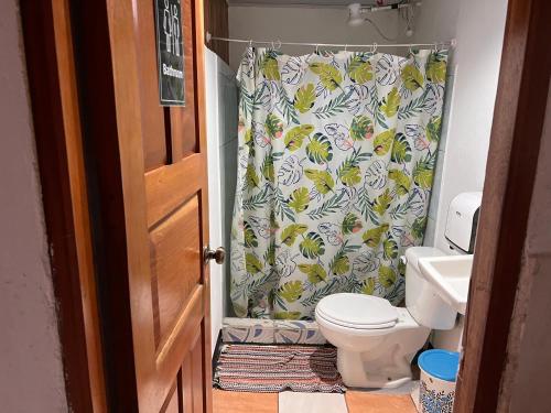 a bathroom with a toilet and a shower curtain at Rio Danta in Fortuna