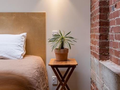 una planta en una mesa de madera junto a una cama en The Thomas Gregg Apartments, en Dunedin