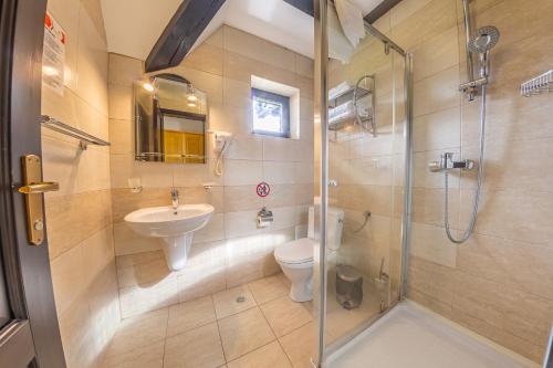 a bathroom with a shower and a toilet and a sink at Poiana Soarelui in Moieciu de Sus