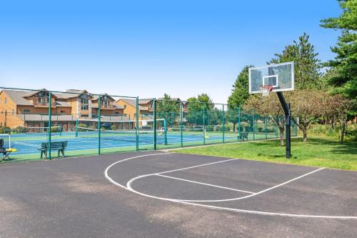 a basketball court with a hoop in a park at Tigers Den - Lower in Arkdale