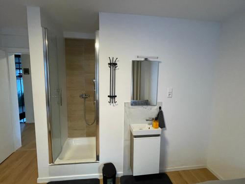 een badkamer met een douche en een wastafel bij Pension Bären in Großengstingen