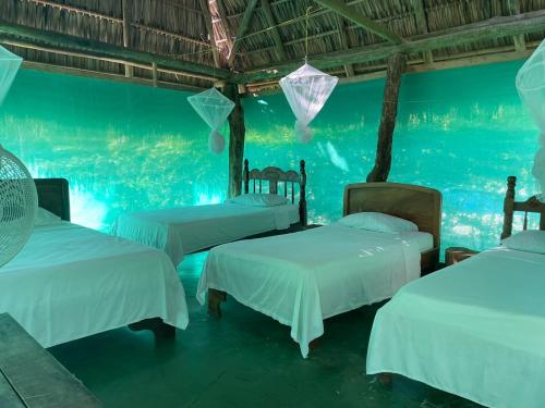 two beds in a room with an aquarium at Mal Pais Surf Camp in Santa Teresa Beach
