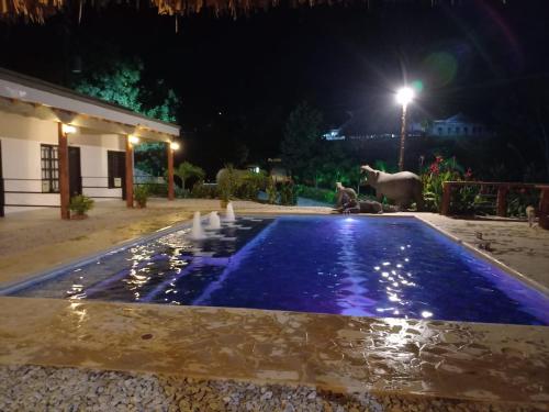 finca campestre las heliconias في بويرتو تريونفو: مسبح في ساحة بالليل