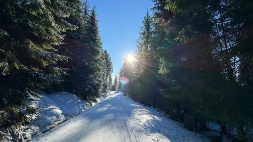 a snow covered road with the sun shining through trees at Mitterdorf Almberg x29 in Mitterfirmiansreut