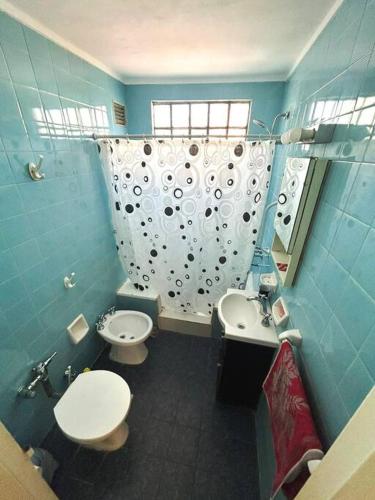 ein blaues Badezimmer mit WC und Waschbecken in der Unterkunft Departamento Completo M&M in Buenos Aires