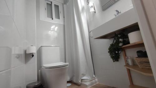 a bathroom with a toilet with a white shower curtain at Acogedor apt en casco historico in Marbella