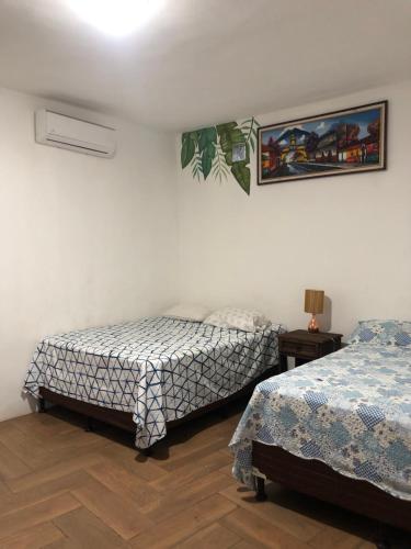 a bedroom with two beds and a picture on the wall at Puerto Vallarta casas vacacionales in San José de Guatemala