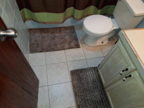 a bathroom with a toilet and a shower with rugs at Eden Place Apartments in Saint Johnʼs