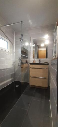 W łazience znajduje się prysznic, umywalka i lustro. w obiekcie Maison pour 2 à 4 personnes avec jardin proche de la plage et des commerces ROYAN w mieście Royan