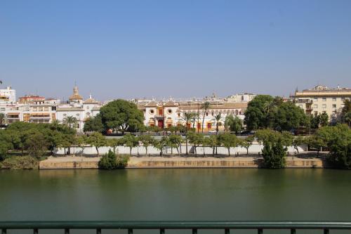 LUISAHOUSE, en el corazón de Sevilla y Triana photo 44