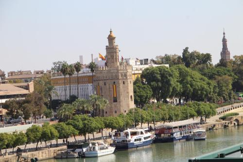 LUISAHOUSE, en el corazón de Sevilla y Triana photo 7