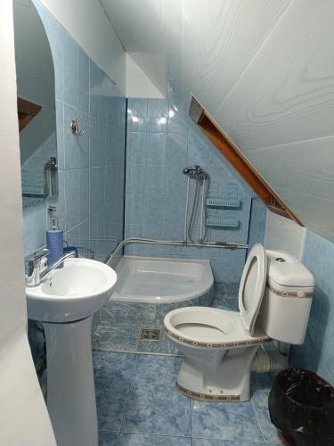 a bathroom with a toilet and a sink and a tub at Pensiunea Tania in Ranca