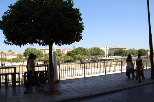 LUISAHOUSE, en el corazón de Sevilla y Triana photo 49