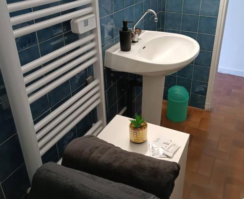 een badkamer met een wastafel en een tafel met een plant erop bij T2 Haut de gamme - Gare Muret - TV & Wifi HD in Muret