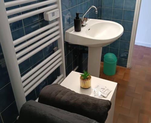 La salle de bains est pourvue d'un lavabo et d'une table avec une plante. dans l'établissement T2 Confortable - Gare Muret - TV & Wifi HD, à Muret