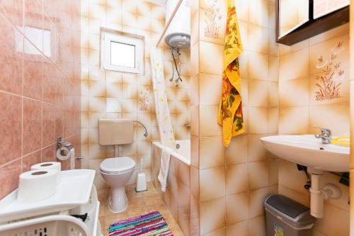 een kleine badkamer met een toilet en een wastafel bij Apartment Raos in Dugi Rat