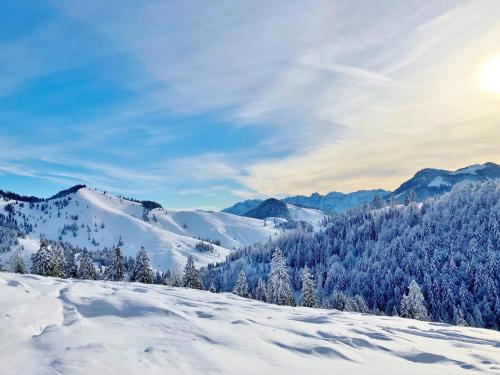 a snow covered hill with trees and mountains at Open Garden Mountain Lodge in Oberaudorf