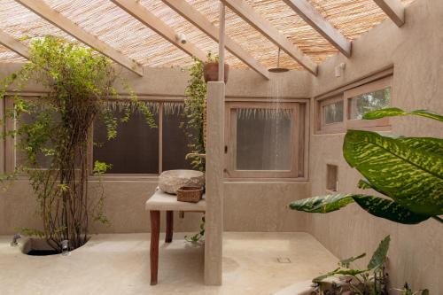 a greenhouse with plants and a bench in a room at La Fragata in Vichayito