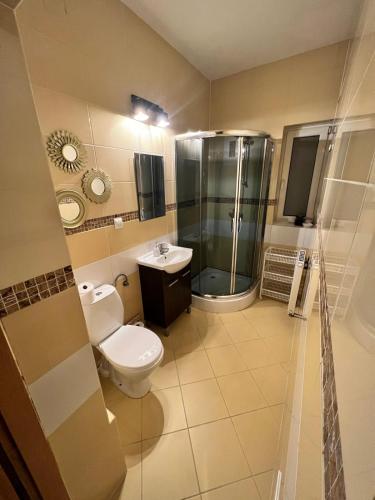 a bathroom with a toilet and a shower and a sink at Apartamenty Nad Dunajcem koło Zakopanego in Biały Dunajec