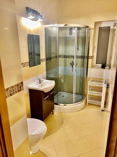a bathroom with a shower and a toilet and a sink at Apartamenty Nad Dunajcem koło Zakopanego in Biały Dunajec