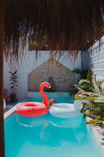 a swimming pool with a swan and two balls in it at Hermosa vista al mar desde rooftop y a pocos metros de mar in Cartagena de Indias