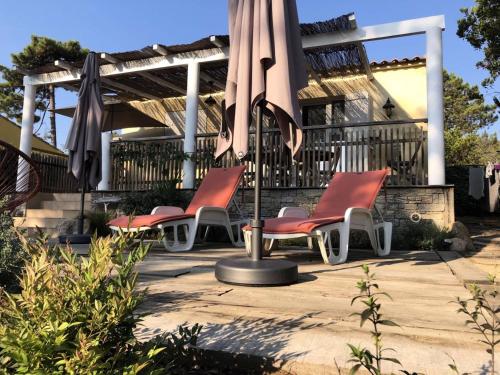 Résidence Favone / Pianiccia - Maisons & Villas pour 5 Personnes 314
