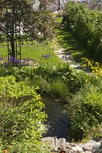 a stream in a garden with flowers at Perssons Magasin in Västra Löa