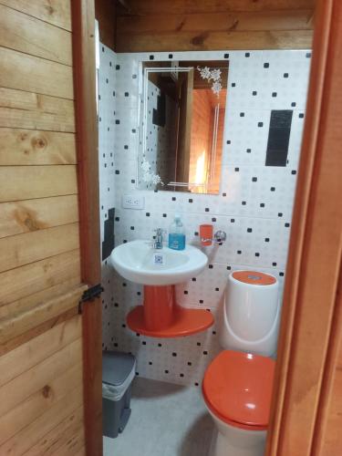 a bathroom with a sink and a toilet and a mirror at El Cabañazo in Villa de Leyva