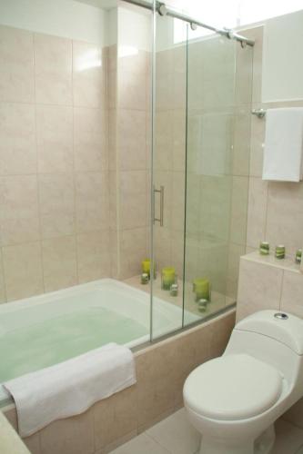 a bathroom with a shower and a toilet and a tub at Hotel Condina Pereira in Pereira