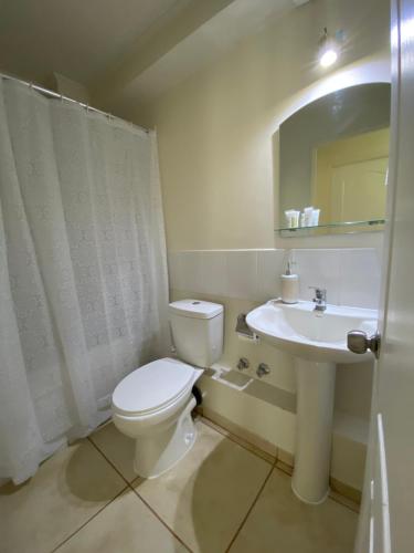 a bathroom with a toilet and a sink and a mirror at Cómodo y Central Departamento in Talca