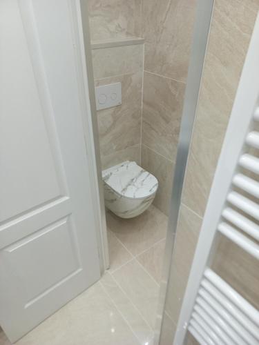 a small bathroom with a toilet in a doorway at Best Experience Tours Centre in Tours