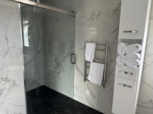 a bathroom with a shower with a glass door at Middle Park Motel in Blenheim