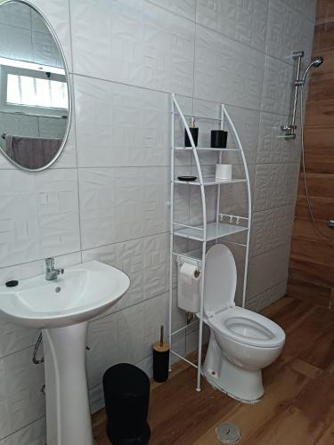 a bathroom with a toilet and a sink and a mirror at Espaço-Vila Verde in Ribeirão Chiqueiro