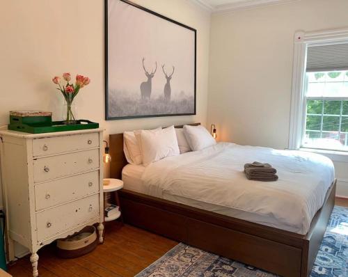 a bedroom with a bed with a dresser and a painting at Pet-Friendly Space #3 at Doggy Digs, King Bed and Office in Halifax