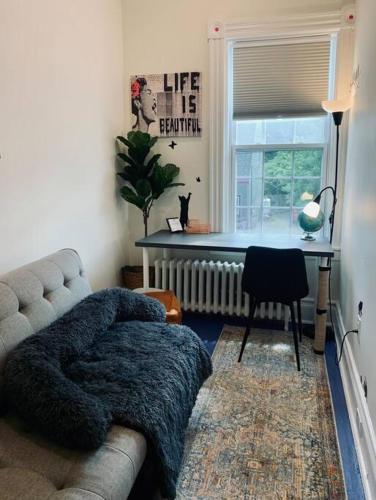 a living room with a couch and a table and a window at Pet-Friendly Space #3 at Doggy Digs, King Bed and Office in Halifax