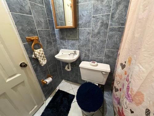 La petite salle de bains est pourvue d'un lavabo et de toilettes. dans l'établissement Estuary Apartment 2, à Dunfermline