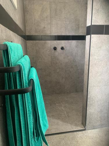 eine Dusche mit zwei grünen Handtüchern und einer Glastür in der Unterkunft The Corner Cottage Orbost in Orbost