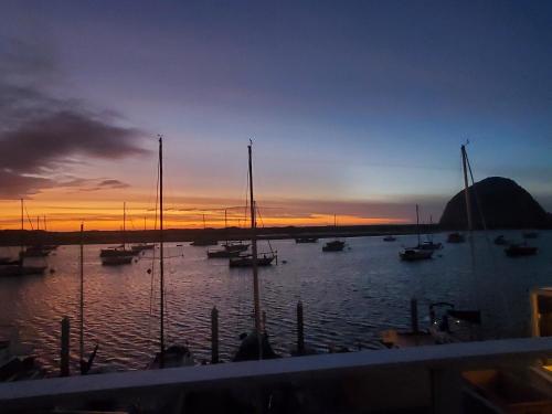 a group of boats in the water at sunset at Gray's Inn & Gallery in Morro Bay