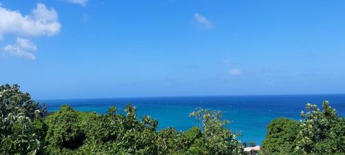 a view of the ocean from a hill with trees at Tim Pappies Nature Lodge - Alex's Place in Port Antonio