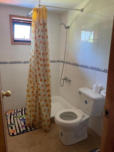 a bathroom with a toilet and a shower curtain at Valle Hermoso in Panguipulli