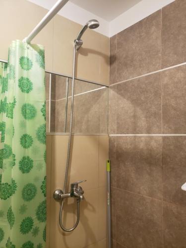 a shower with a shower head in a bathroom at ALTOS DE ALEM in Alta Gracia