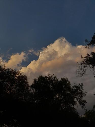 a cloud in the sky with trees in the foreground at Cómo en hogar in Tarija