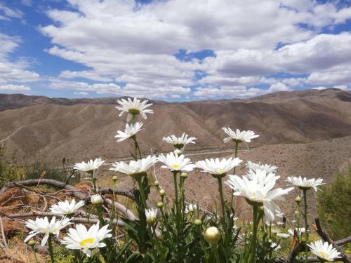 Photo de la galerie de l'établissement Vidatierra, à Potrerillos