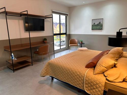 a bedroom with a bed and a desk and a television at Urban Circunvalación in Guadalajara