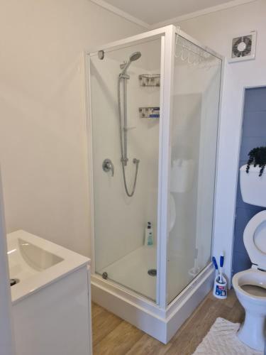 a bathroom with a shower and a toilet at Hillcrest Villa in Auckland